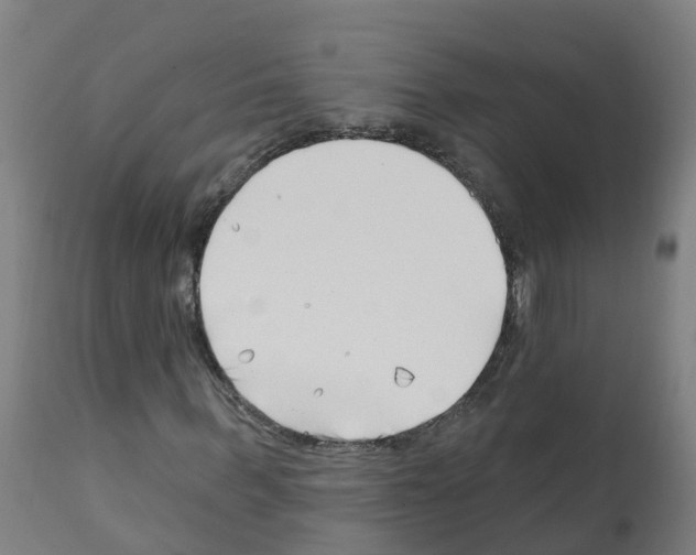 X0000112390963200909241235