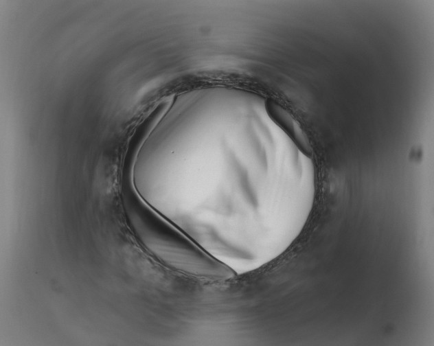 X0000112390965200909241235