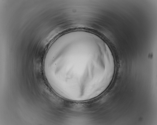 X0000112390969200909241234