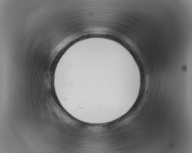 X0000112390970200909241234