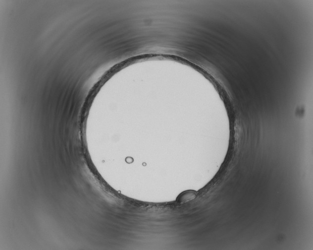 X0000112390972200909241234
