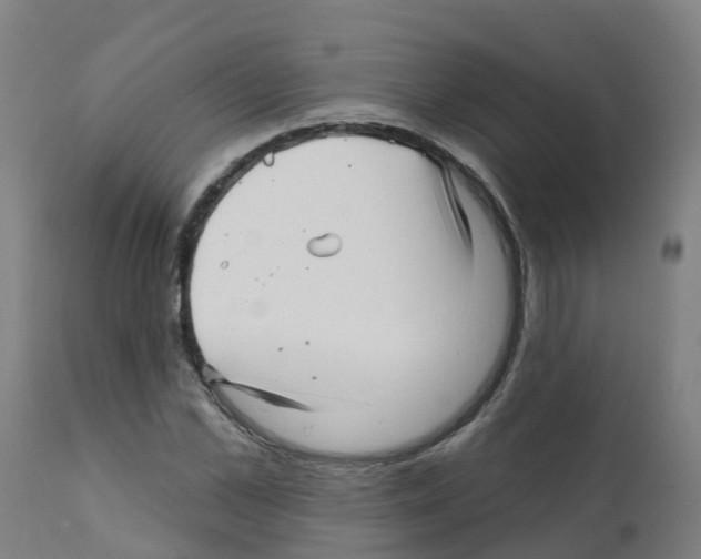 X0000112390973200909241234