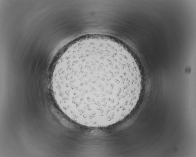 X0000112390974200909241234