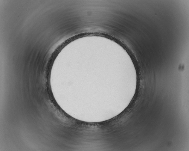 X0000112390975200909241234