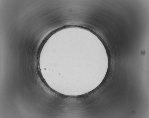X0000112390976200909241234