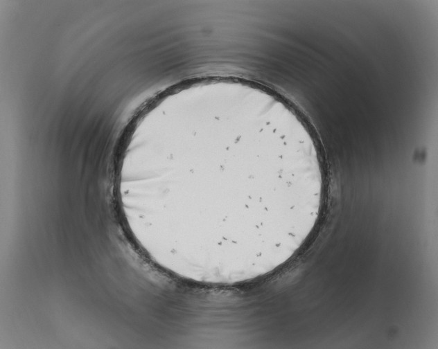 X0000112390979200909241234