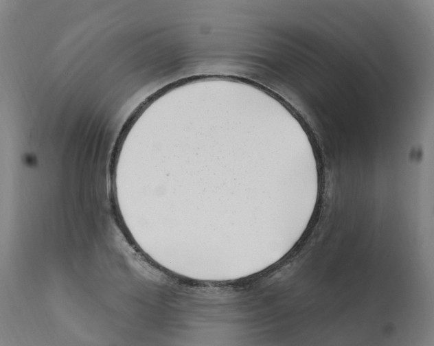 X0000112390980200909241234