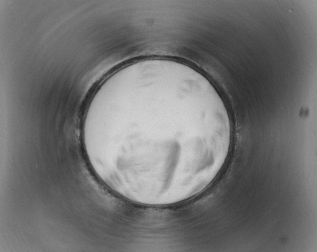 X0000112390981200909241234