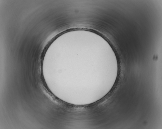 X0000112390982200909241234