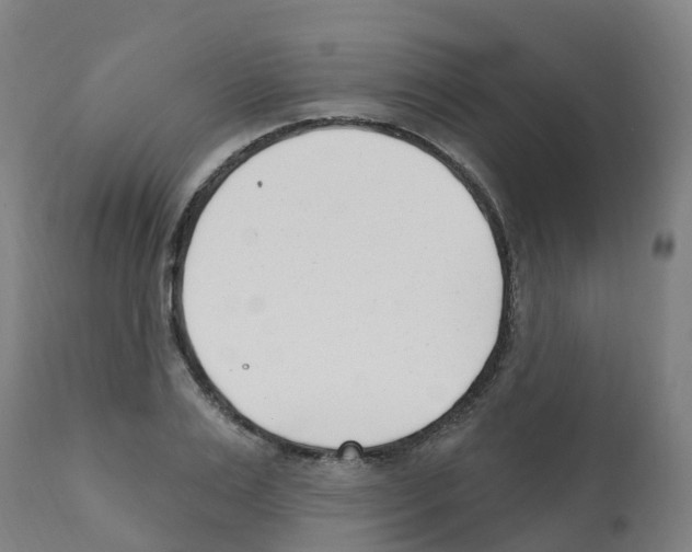 X0000112390983200909241234