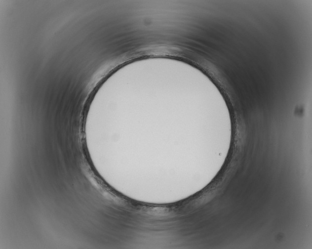 X0000112390986200909241234
