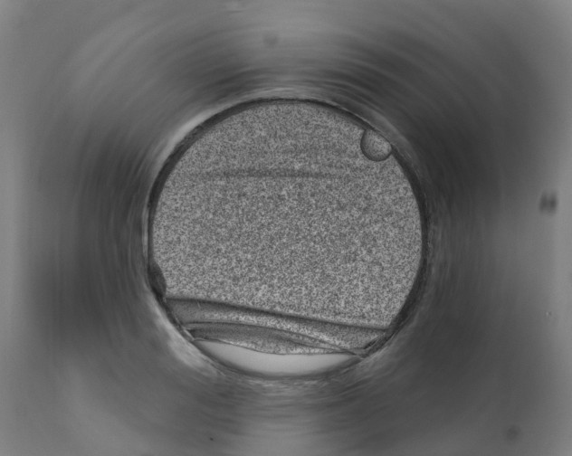 X0000112390988200909241234
