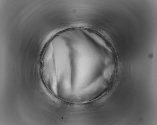X0000112390989200909241234