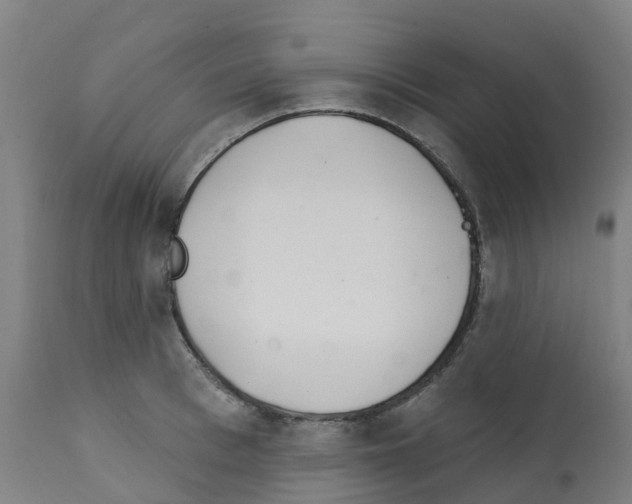 X0000112390993200909241234