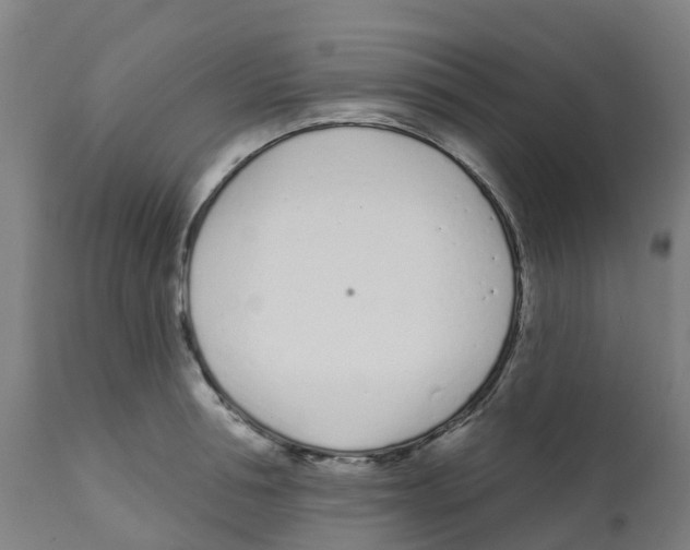 X0000112390994200909241234