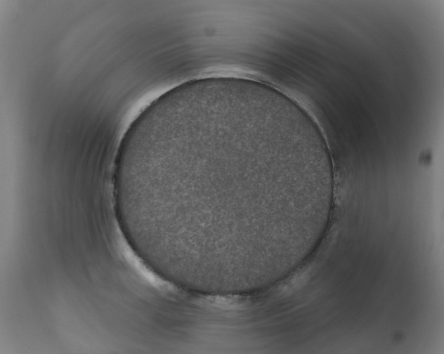 X0000112390995200909241234