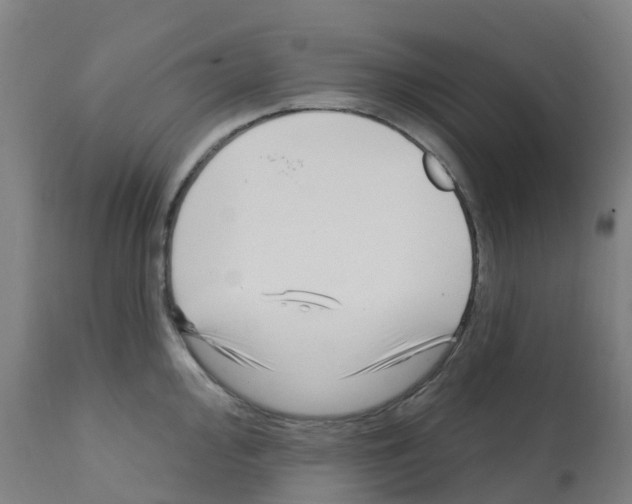 X0000112391000200909241234