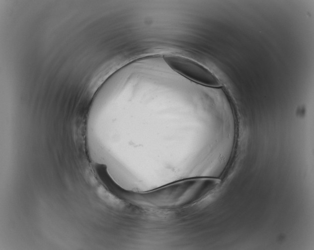 X0000112391001200909241234
