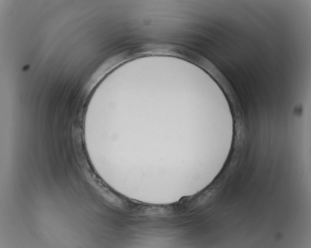 X0000112391002200909241234