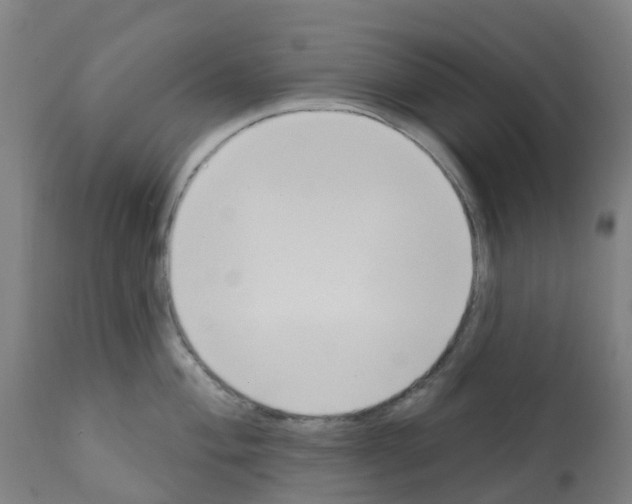X0000112391004200909241234