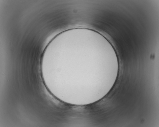 X0000112391006200909241234