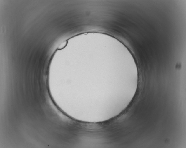 X0000112391007200909241234