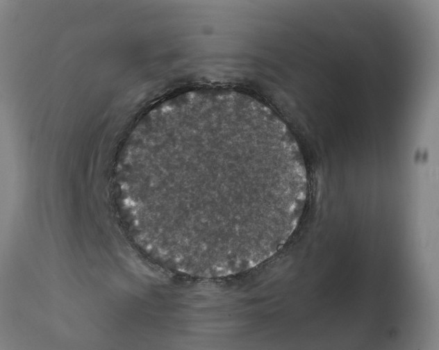 X0000112391009200909241233