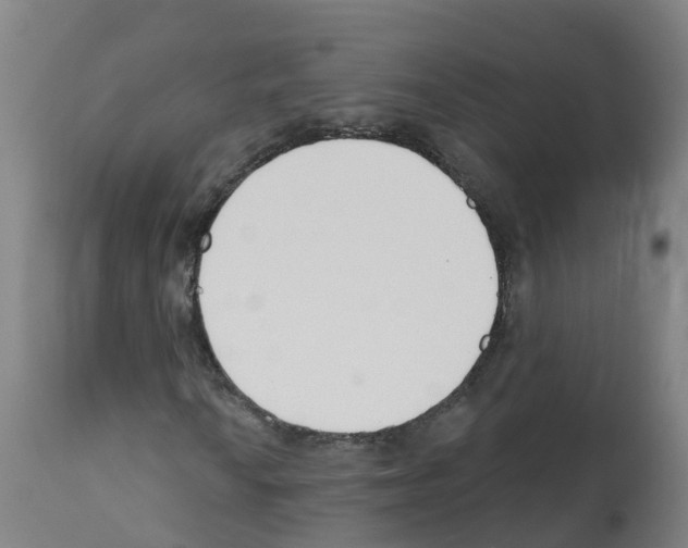 X0000112391010200909241233