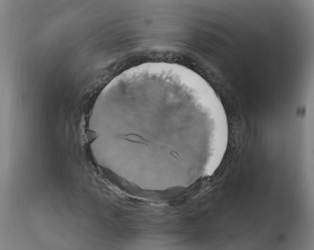 X0000112391013200909241233