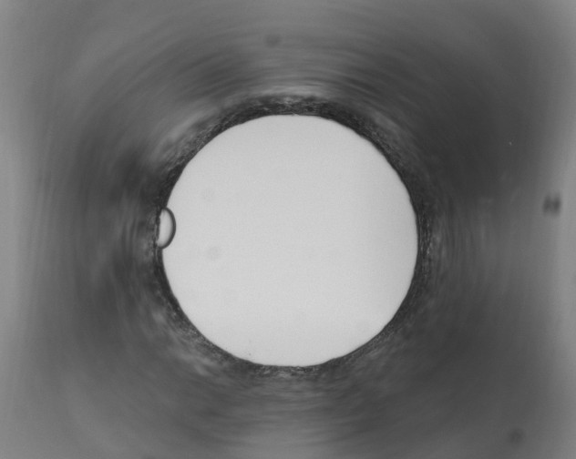 X0000112391014200909241233