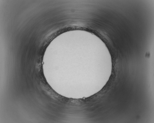 X0000112391015200909241233