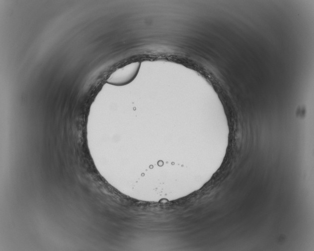 X0000112391016200909241233