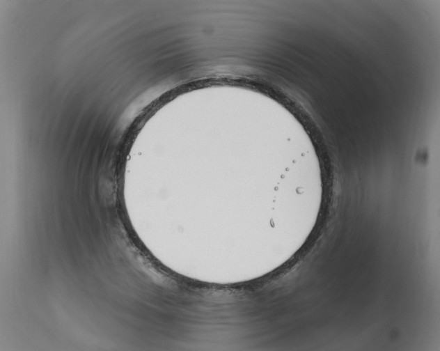 X0000112391018200909241233