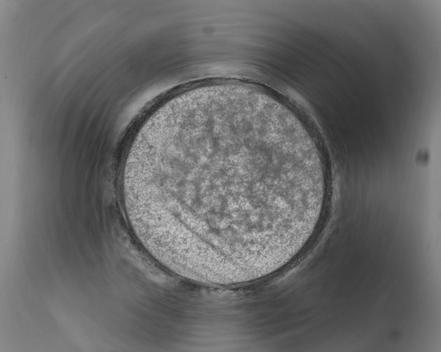 X0000112391019200909241233