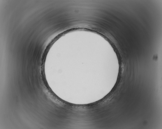 X0000112391020200909241233