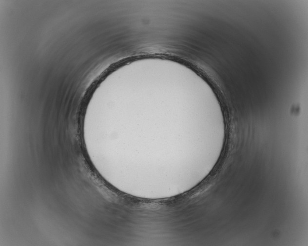 X0000112391023200909241233