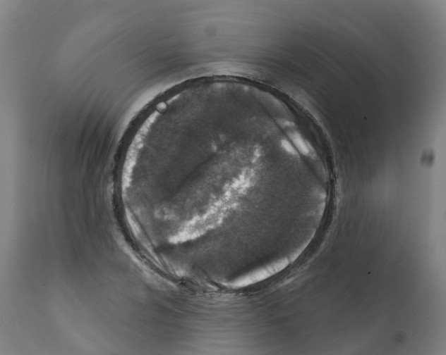X0000112391024200909241234