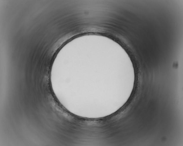 X0000112391025200909241234