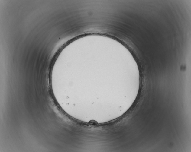 X0000112391030200909241234