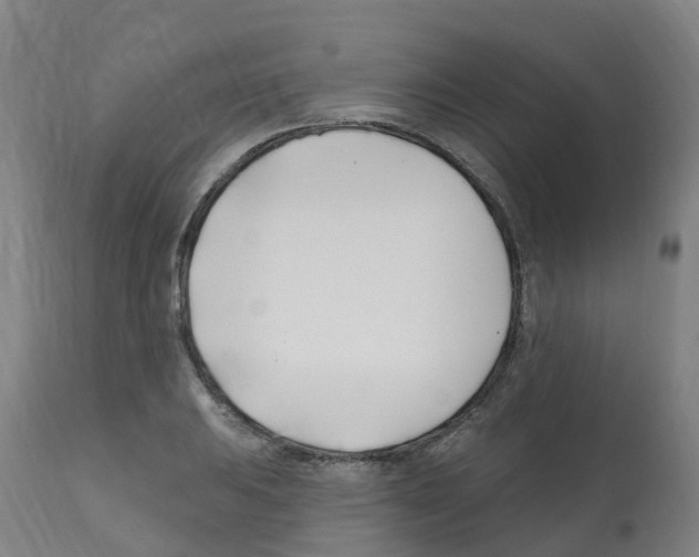 X0000112391031200909241234