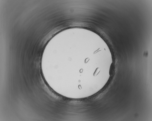 X0000112391033200909241234