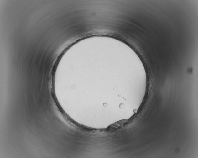 X0000112391034200909241234