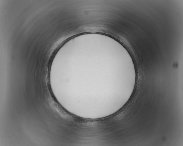 X0000112391035200909241234