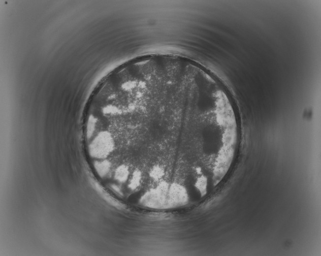 X0000112391037200909241234