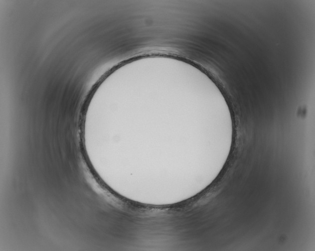 X0000112391038200909241234