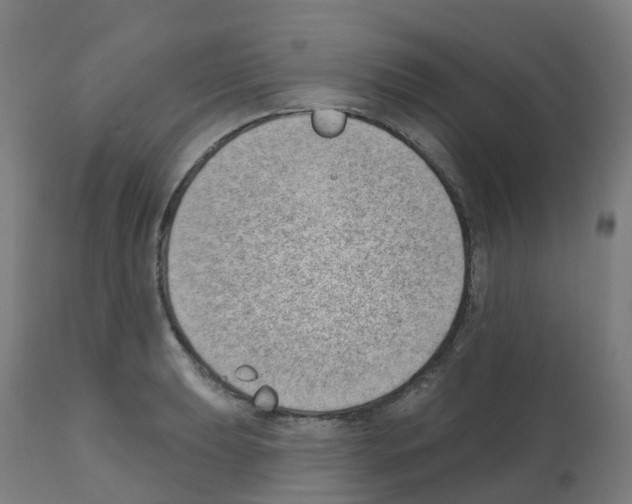 X0000112391039200909241234