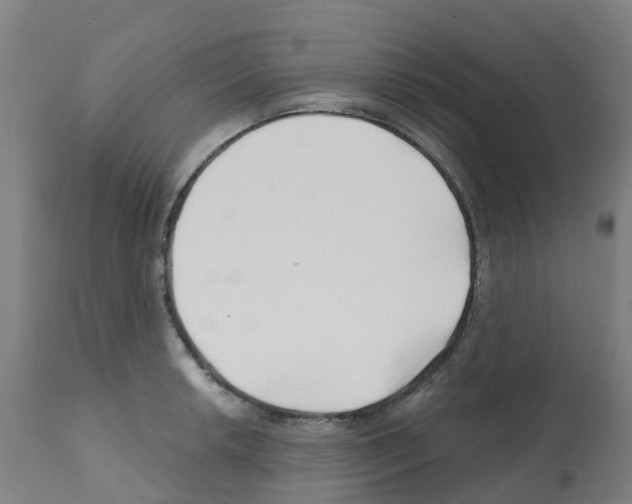 X0000112391042200909241234