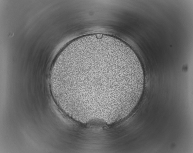 X0000112391043200909241234