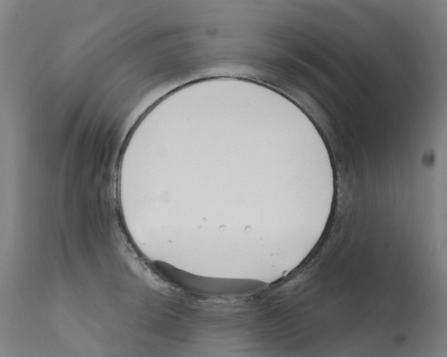 X0000112391044200909241234