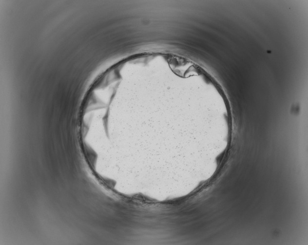 X0000112391045200909241234